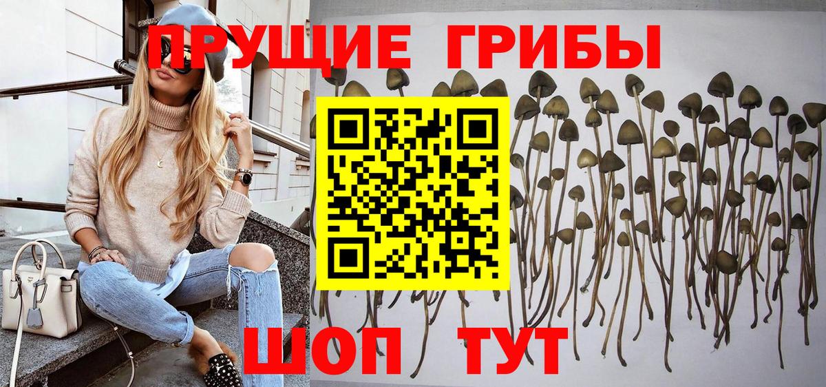 Псилоцибиновые грибы MAGIC MUSHROOMS  Псилоцибиновые грибы Magic Shrooms  Ржев  Вход с VPN 
